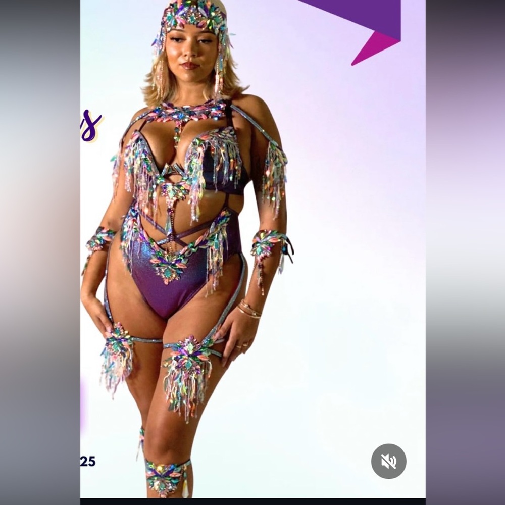 Carnival Bra and Panty Costume